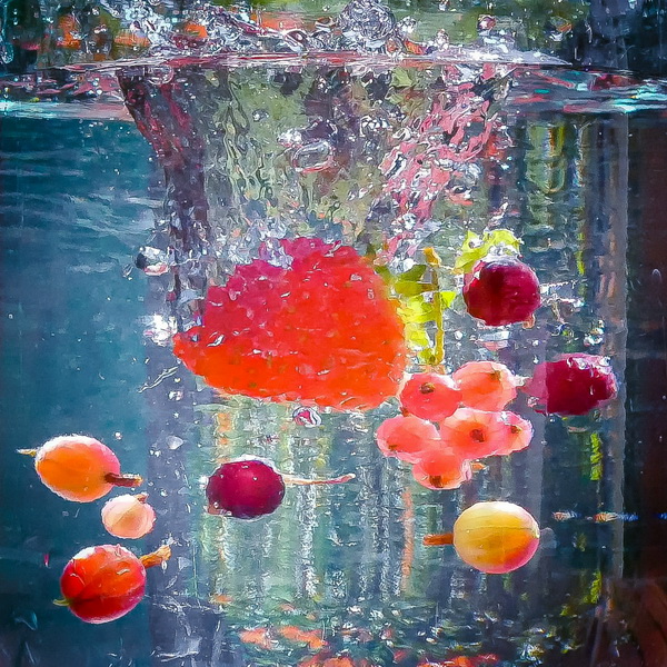 Фотография участника фотоклуба